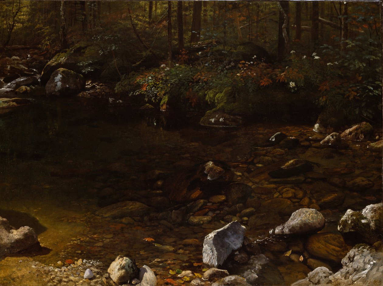 Skyggefull dam, White Mountains, New Hampshire av Albert Bierstadt