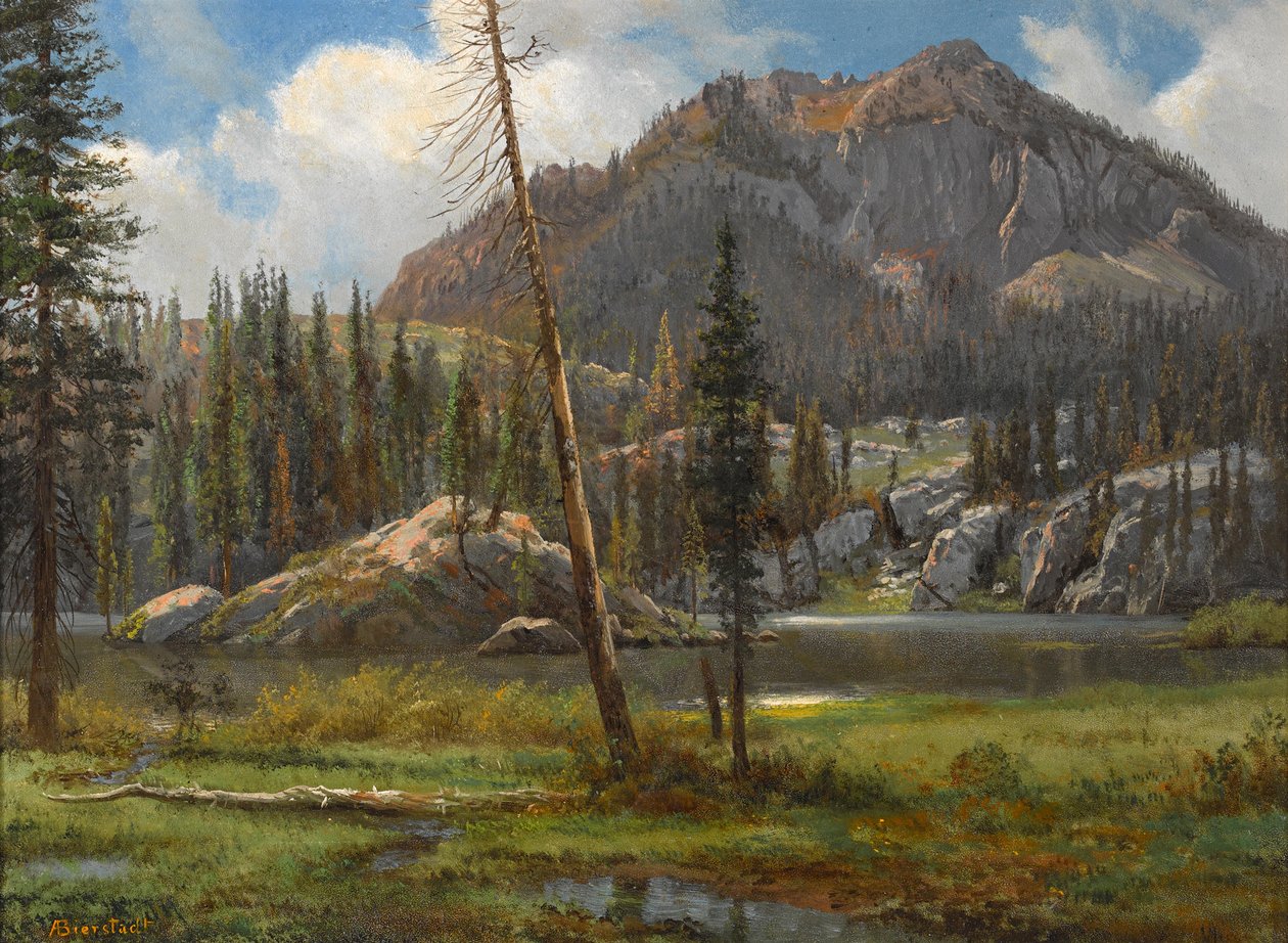  av Albert Bierstadt
