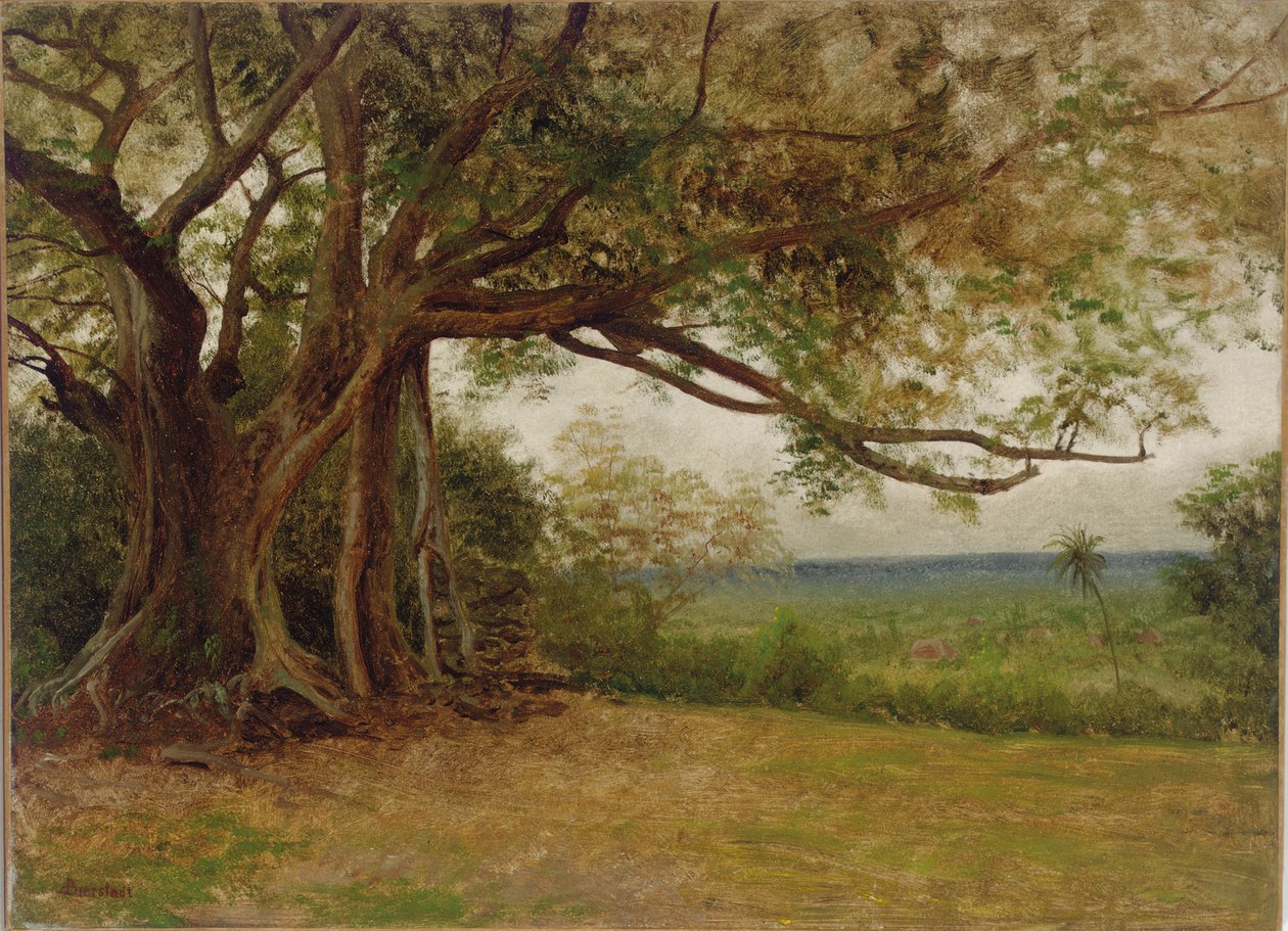Studie for "The Landing of Columbus", 1892 av Albert Bierstadt