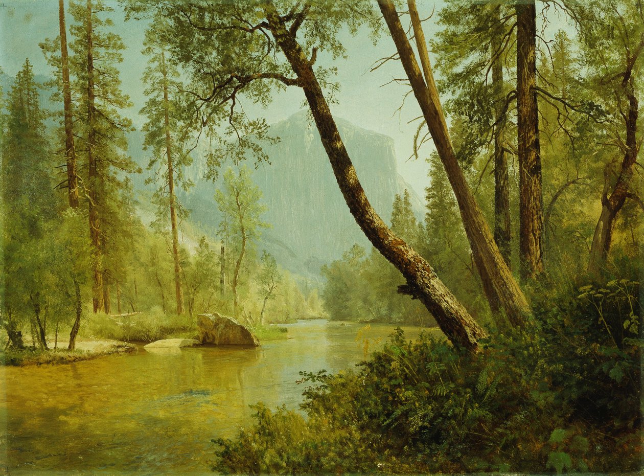 Solbelyst skog av Albert Bierstadt