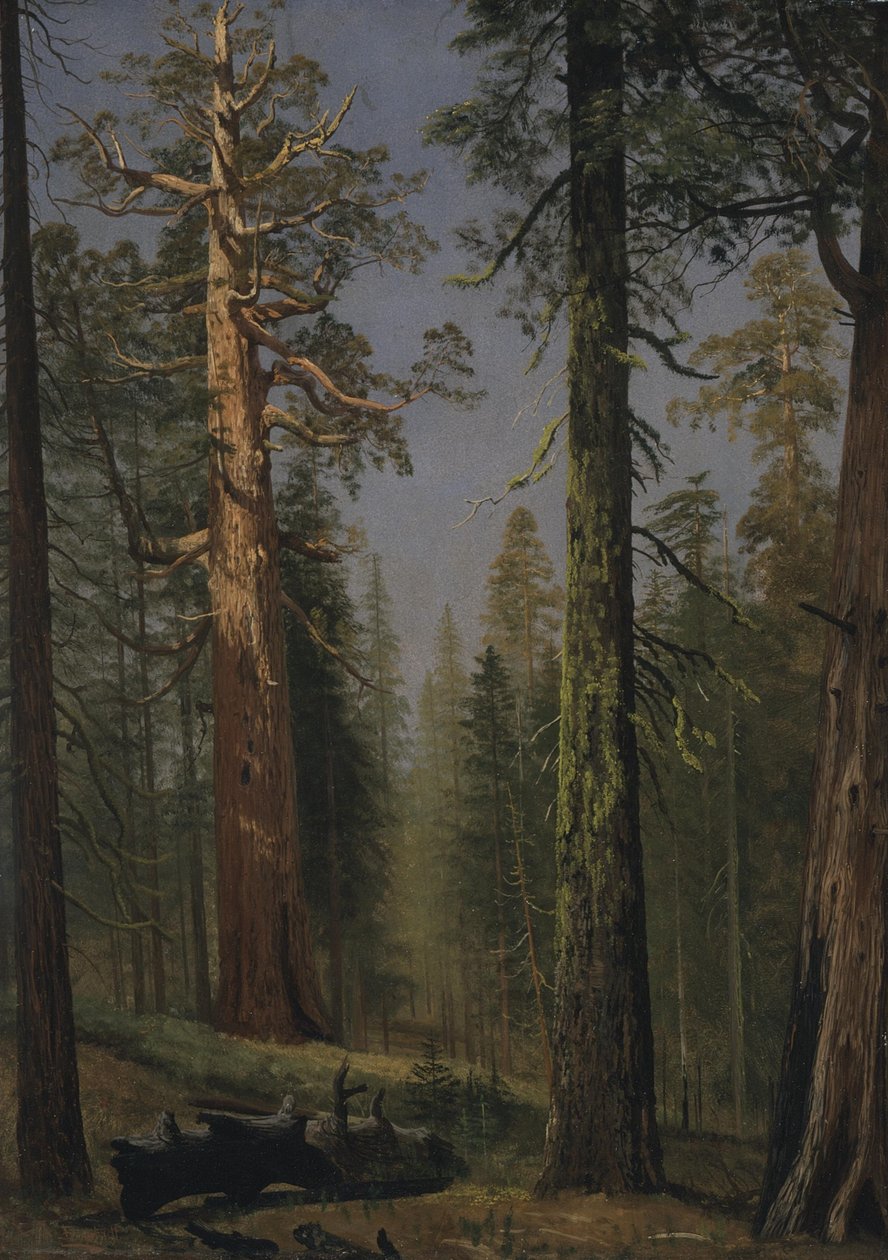  av Albert Bierstadt