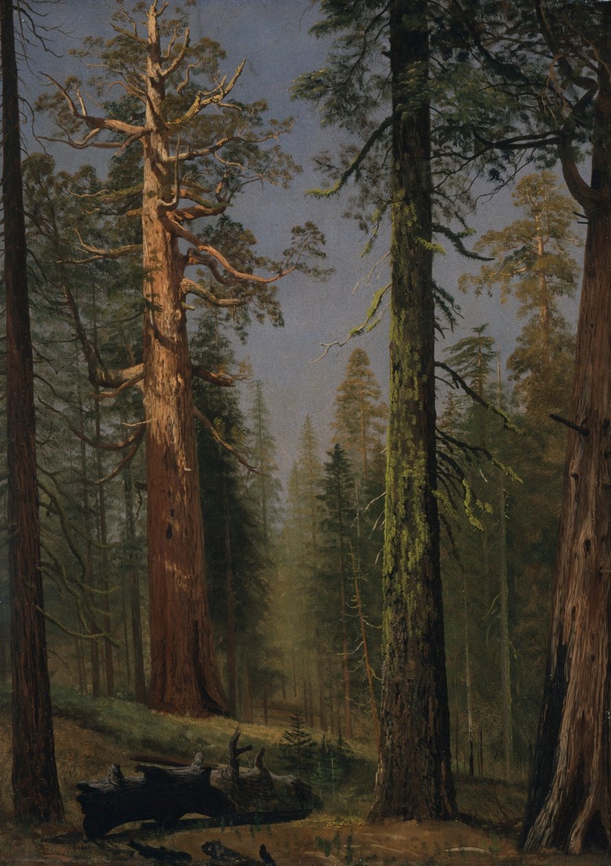  av Albert Bierstadt