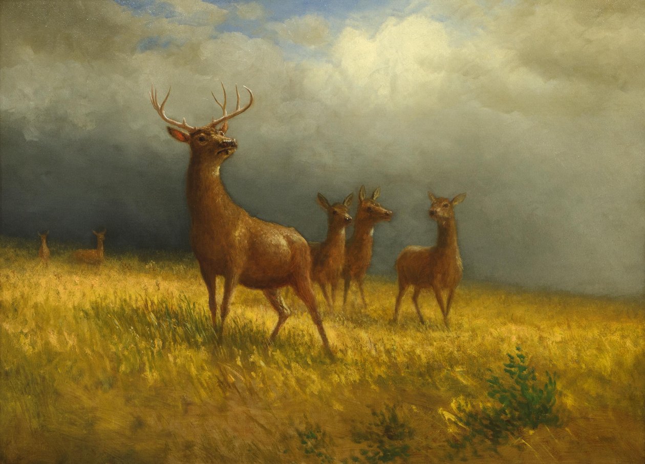  av Albert Bierstadt