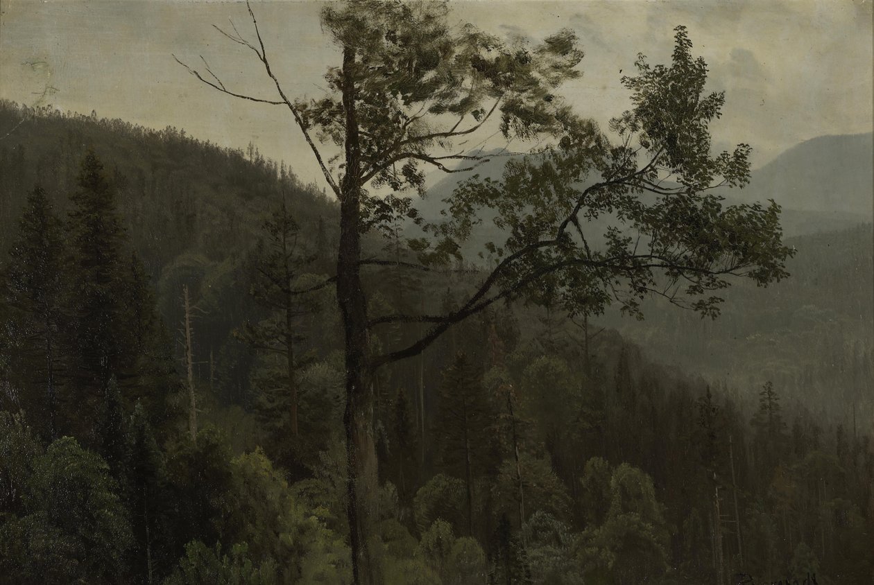  av Albert Bierstadt