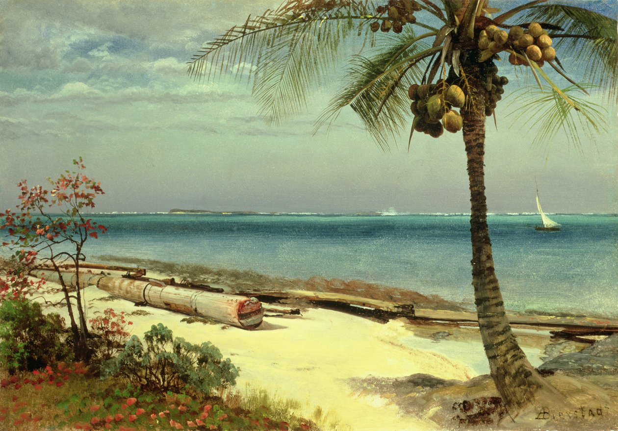 Ukjent bilde av Albert Bierstadt