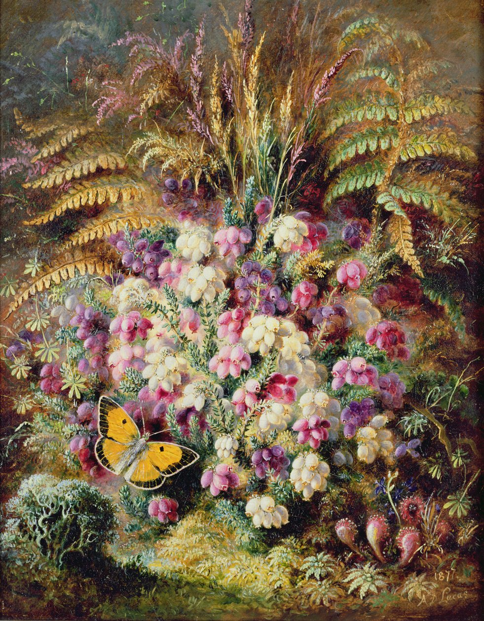 Bell Heather, 1877 av Albert Durer Lucas