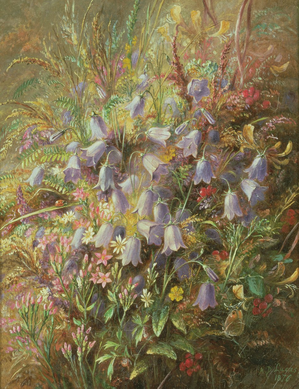 Harebells og andre skogblomster og gress av Albert Durer Lucas