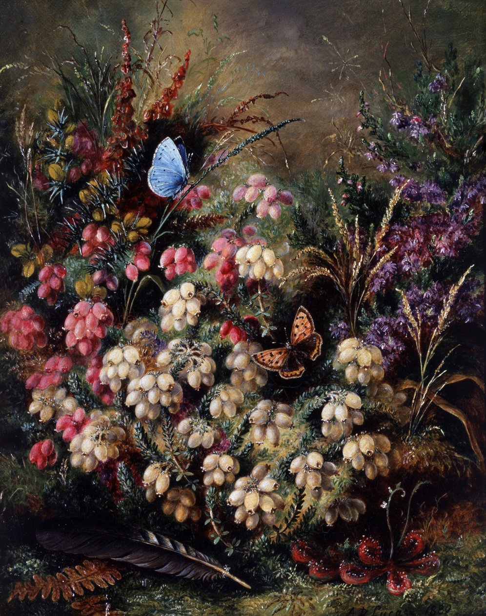 av Albert Durer Lucas