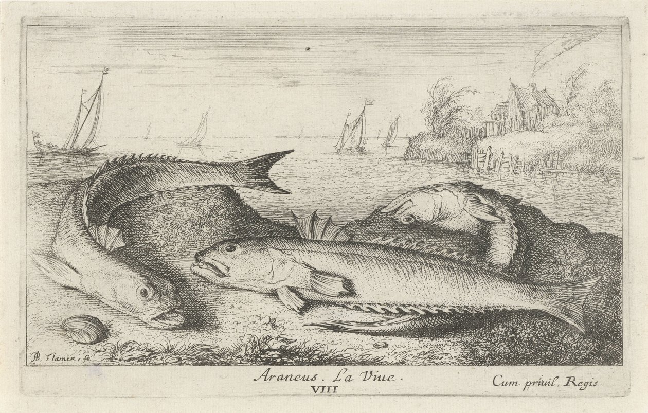 Tre flekkete tisser på stranden Araneus. LaVie. (tittel på objekt) Fisk og andre sjødyr - saltvanns andre serie (serietittel) Poissons de mer (serietittel) av Albert Flamen