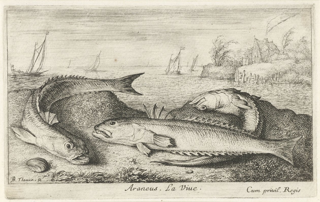 Tre flekkete på stranden Araneus. LaVie. (tittel på objekt) Fisk og andre sjødyr - saltvanns andre serie (serietittel) Poissons de mer (serietittel) av Albert Flamen