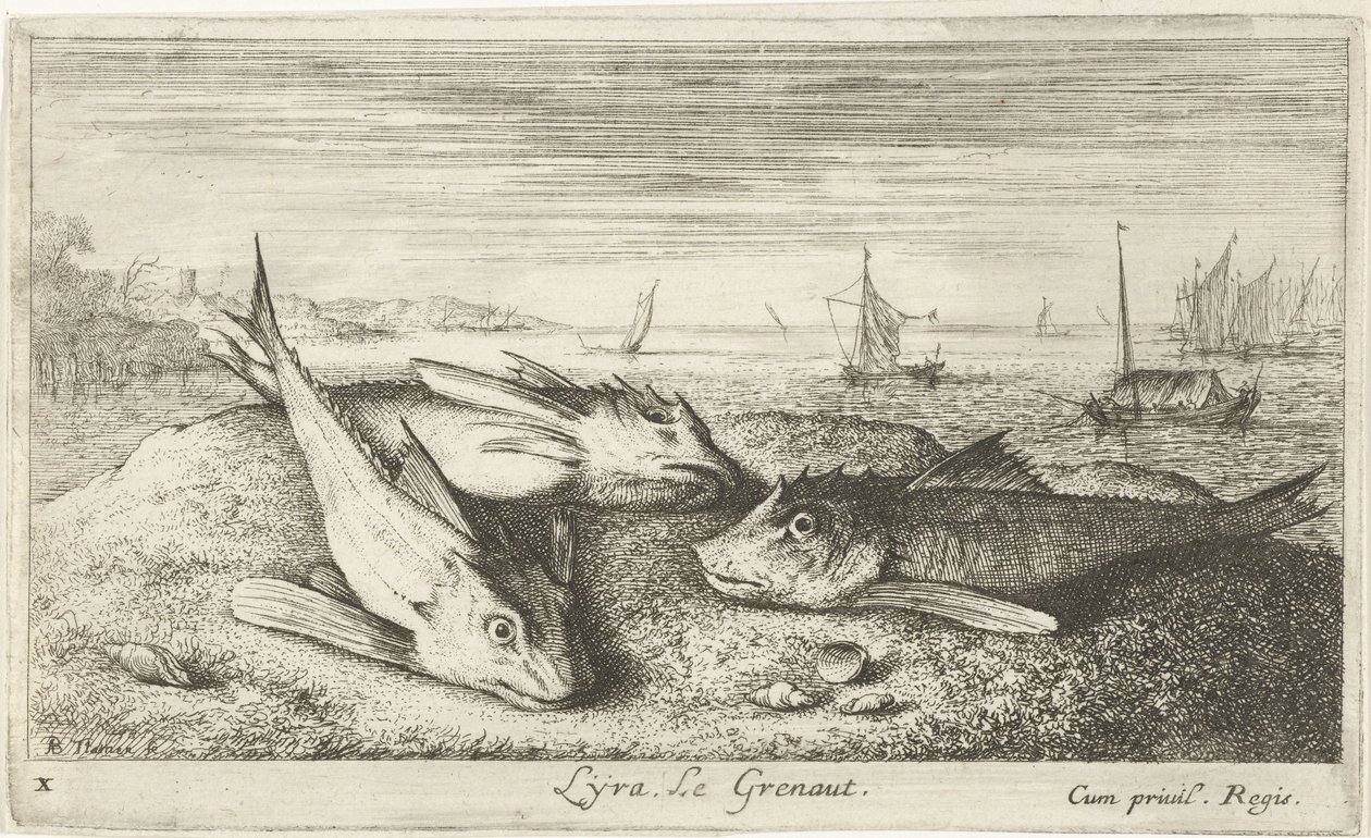 Tre saltvannsfisker på stranden Lyta, Le grenaut. (tittel på objekt) Fisk og andre sjødyr - saltvanns første serie (serietittel) Diverse Especes de Poissons de mer (serietittel) av Albert Flamen