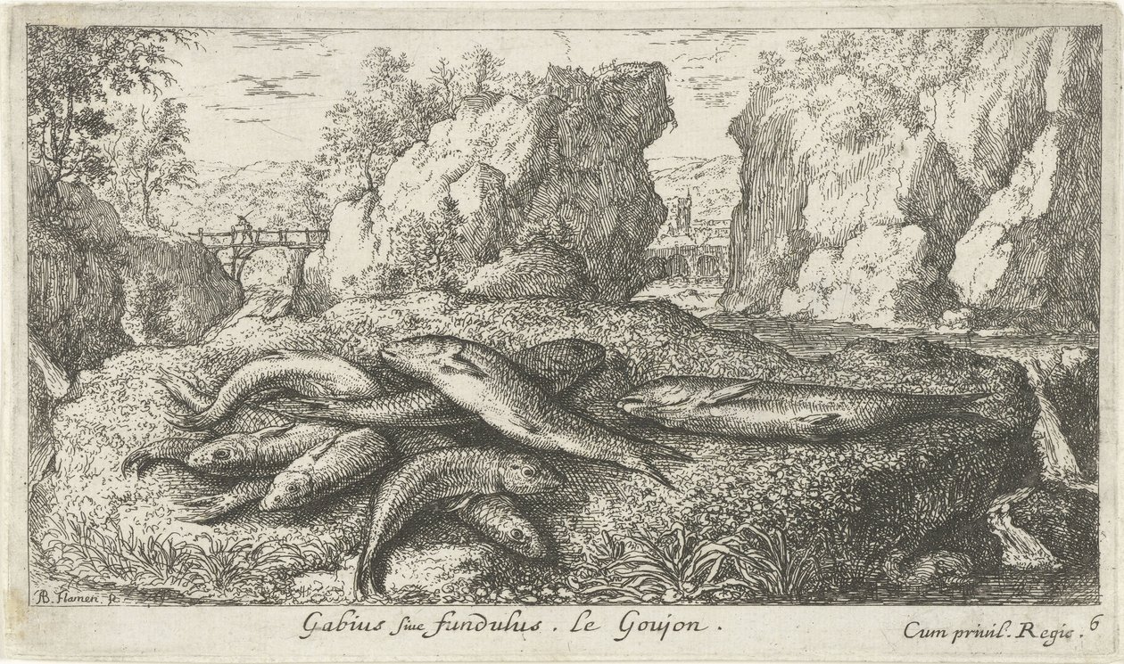 Kutlinger på en elvebredd Gabius siue fundulus. Le Goujon. (tittel på objekt) Fisk og andre sjødyr - ferskvanns andre serie (serietittel) Seconde partie de Poissons d
