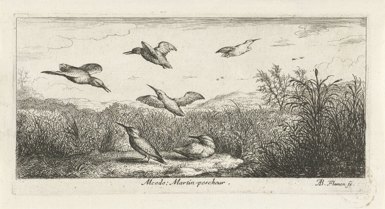 Landskap med isfugler alcedo; Martin-pecrack. (tittel på objekt) Fuglebok (serietittel) Livre d