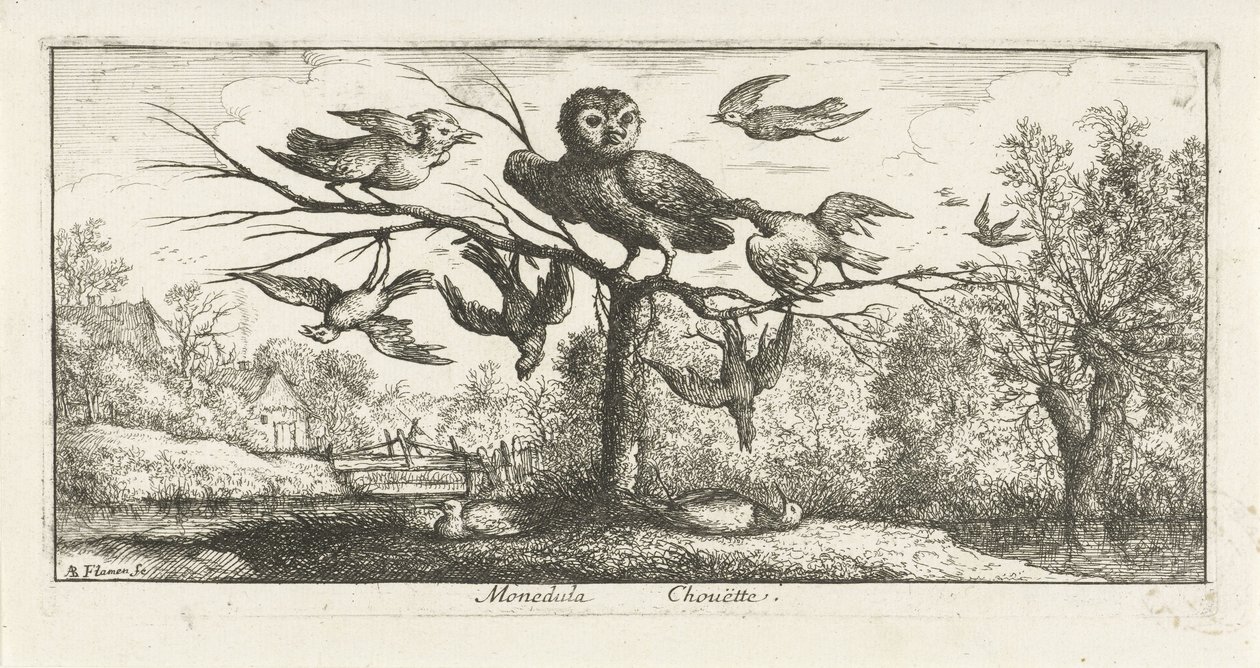 Landskap med perleugle blant andre fugler Monedula Chouette. (tittel på objekt) Fuglebok (serietittel) Livre d