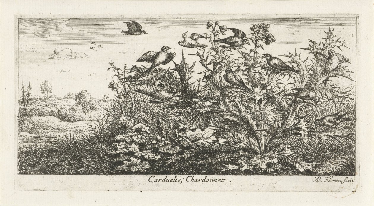 Landskap med gullfinker i tistel Carduelis; Chardonneret. (tittel på objekt) Fuglebok (serietittel) Livre d