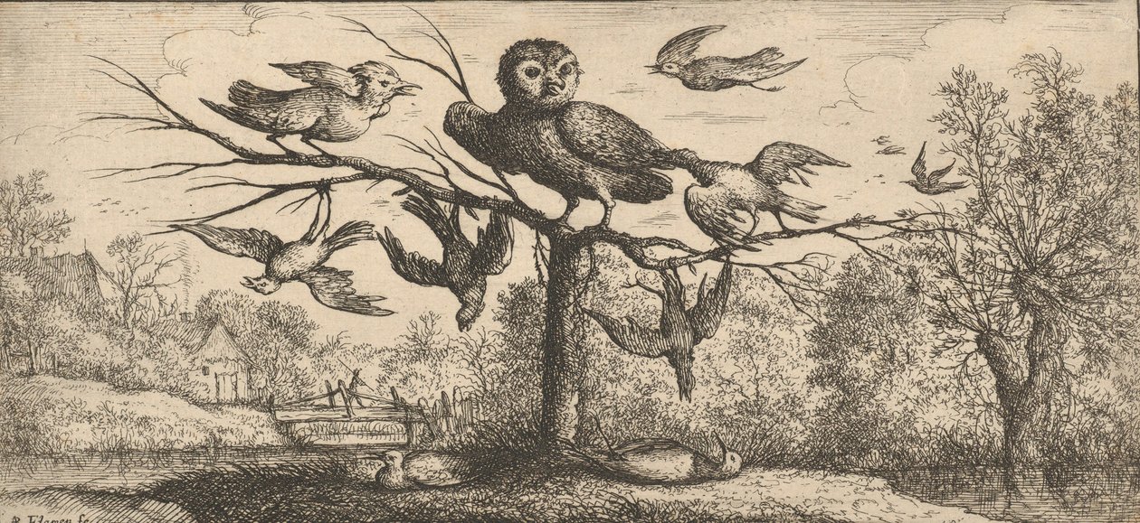 Monedula, Chouëtte Uglen: Livre d