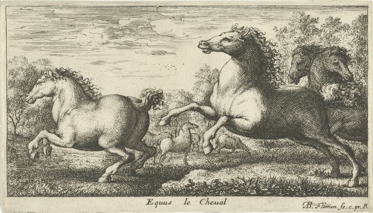Hester Equus le Cheval (tittel på objekt) Ulike dyrearter (serietittel) av Albert Flamen
