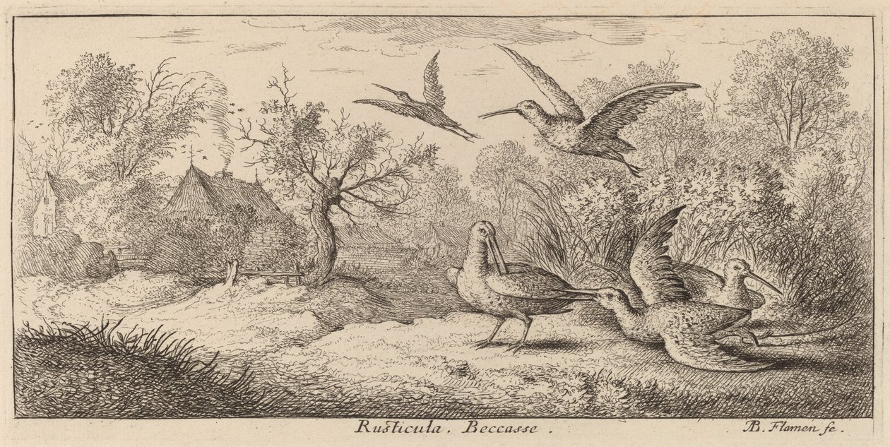 Rusticula, Woodcock av Albert Flamen