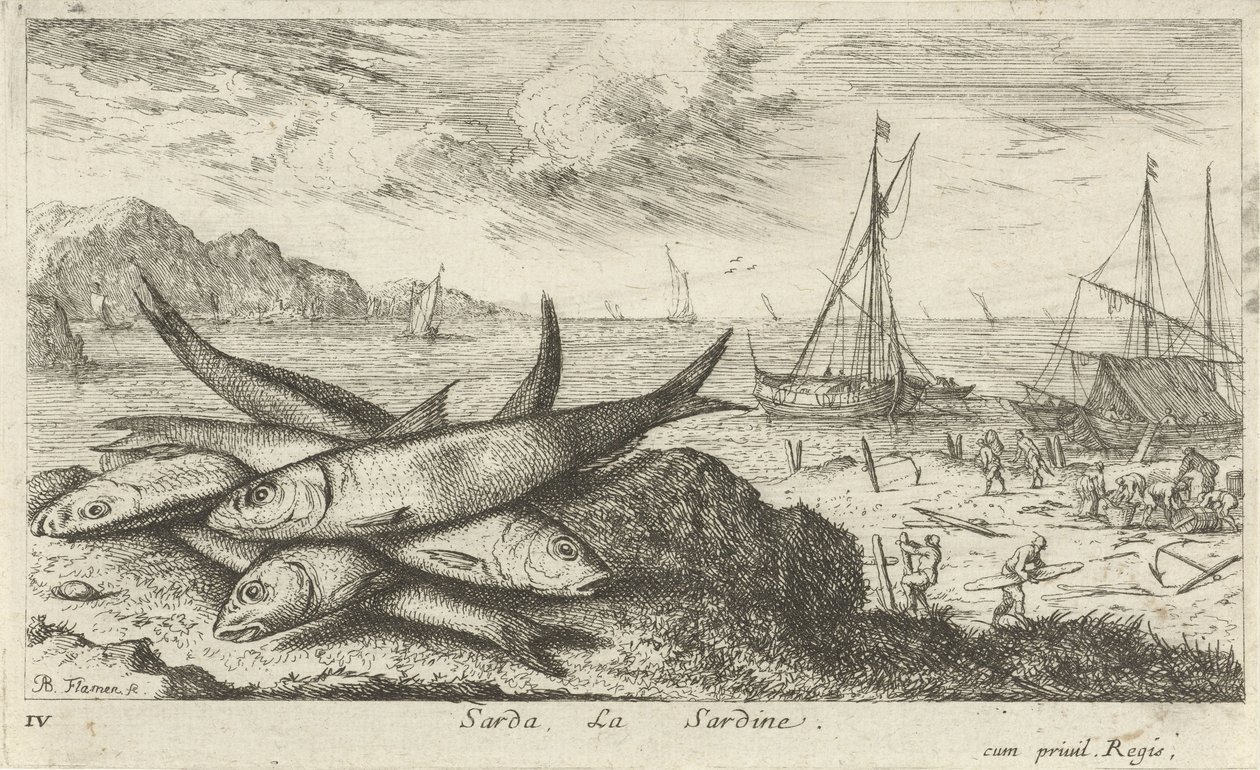 Sardiner på stranden Sarda, La Sardine. (tittel på objekt) Fisk og andre sjødyr - saltvanns første serie (serietittel) Diverse Especes de Poissons de mer (serietittel) av Albert Flamen