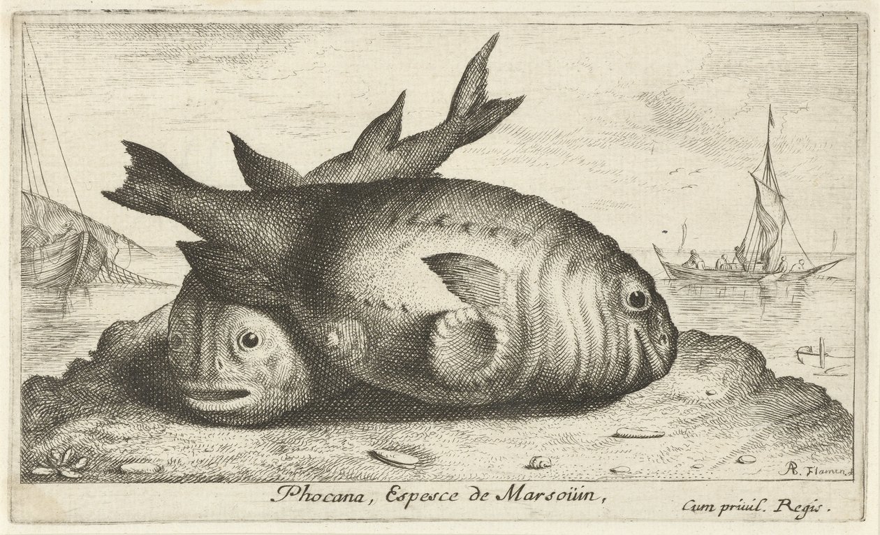 To niser på stranden Phocana, Espesce de Marsoüin, (tittel på objekt) Fisk og andre sjødyr - saltvann tredje serie (serietittel) Poissons de mer (serietittel) av Albert Flamen