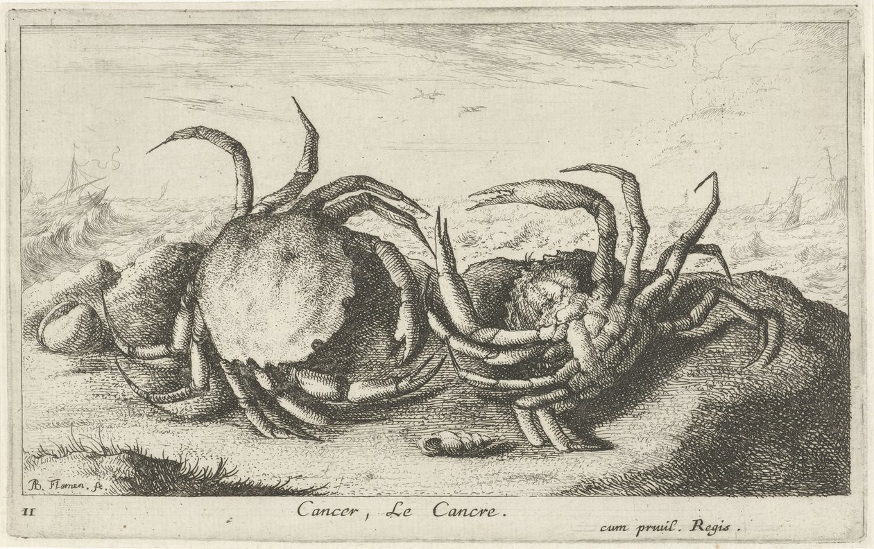 To krabber på stranden Kreft, Le Cancre (tittel på objekt) Fisk og andre sjødyr - saltvanns første serie (serietittel) Diverse Especes de Poissons de mer (serietittel) av Albert Flamen