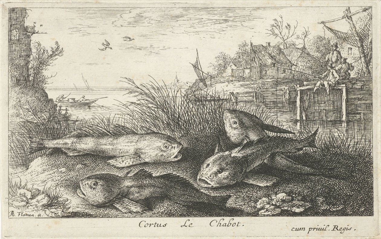 Fire chubs på en elvebredd Cortus LeChabot. (tittel på objekt) Fisk og andre sjødyr - ferskvanns andre serie (serietittel) Seconde partie de Poissons d