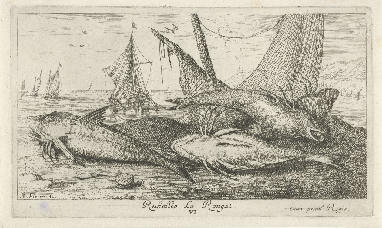 Fire røde multer på stranden Rubellio Le Rouget. (tittel på objekt) Fisk og andre sjødyr - saltvanns andre serie (serietittel) Poissons de mer (serietittel) av Albert Flamen