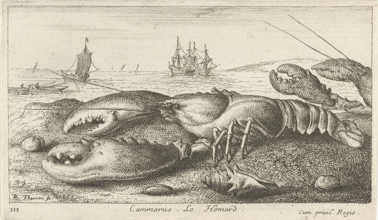 Hummer på stranden Cammarus. LeHomard (tittel på objekt) Fisk og andre sjødyr - saltvanns første serie (serietittel) Diverse Especes de Poissons de mer (serietittel) av Albert Flamen