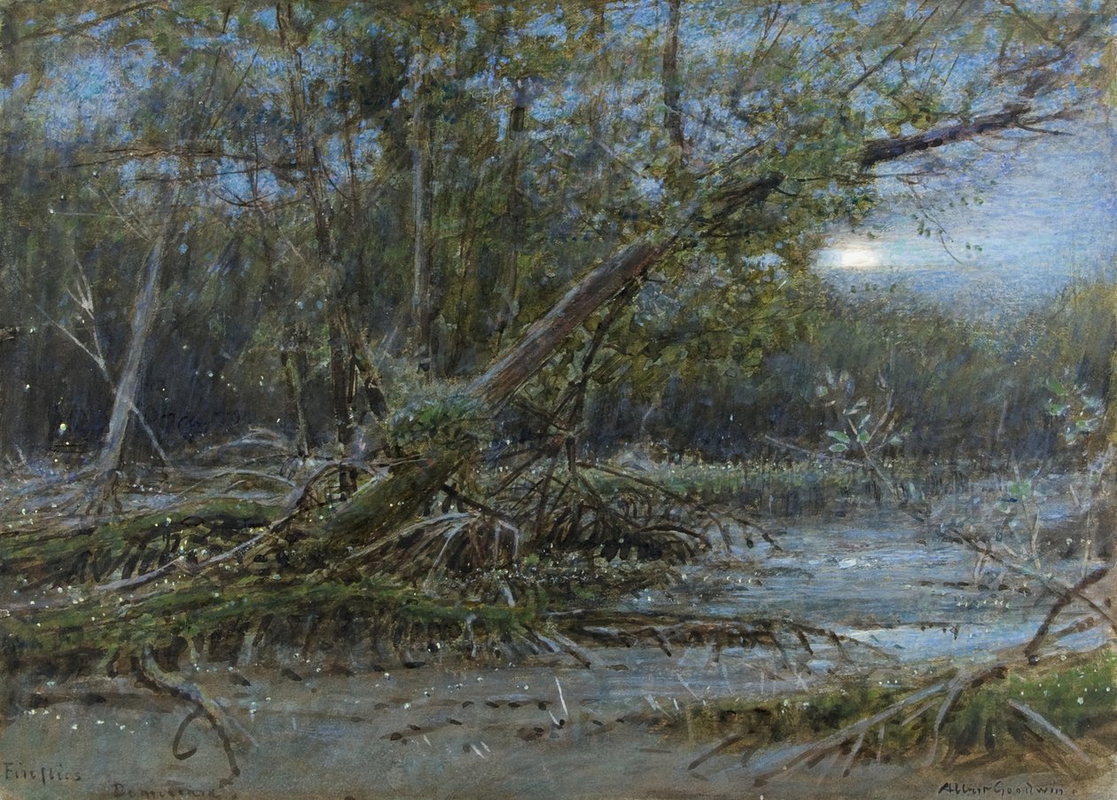 Fireflies, Demerera, ca. 1902 (w/c og kroppsfarge på papir) av Albert Goodwin