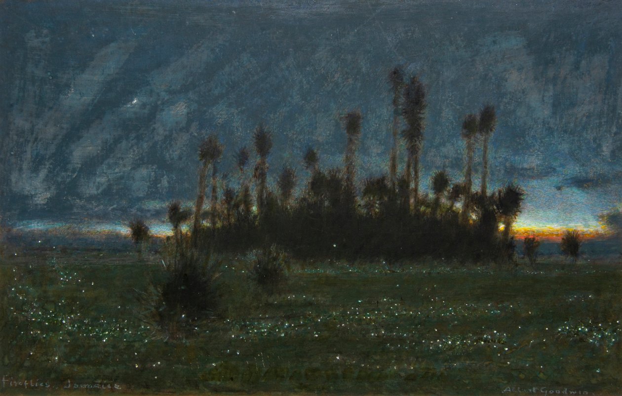 Ildfluer, Jamaica (akvarell med kroppsfarge) av Albert Goodwin