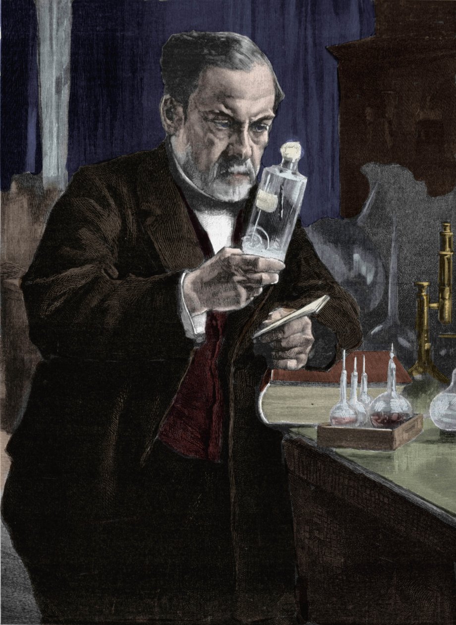 Portrett av Louis Pasteur (1822-1895), fransk kjemiker og biolog. Fra maleriet av Aristide Albert Gustaf Edelfelt (1854-1905) av Musee d'orsay i Paris. Gravering av 1800-tallet av Albert Gustaf Aristides Edelfelt