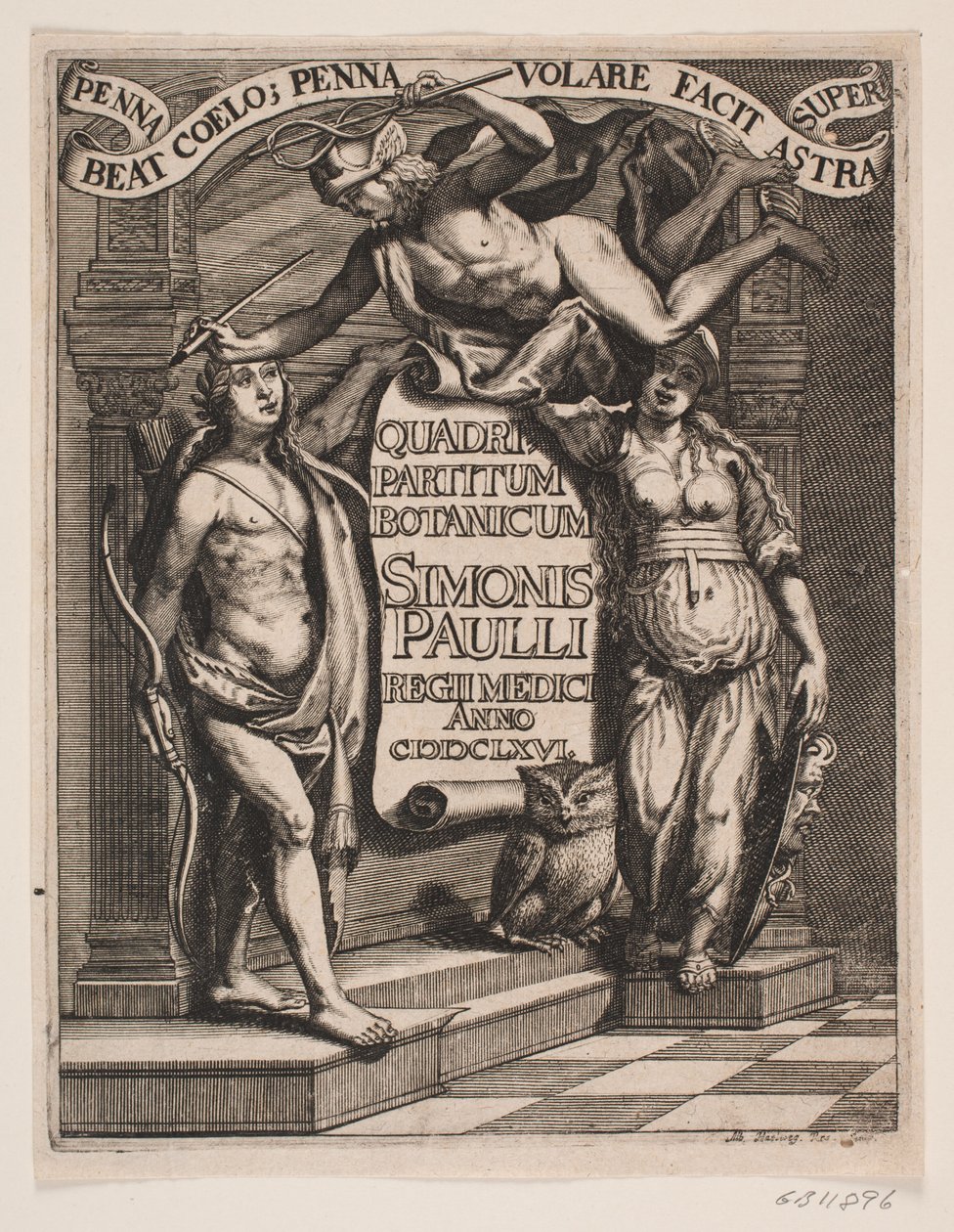 Titelblad til Simon Paulli, "Quadripartitum Botanicum", 1667 av Albert Haelwegh
