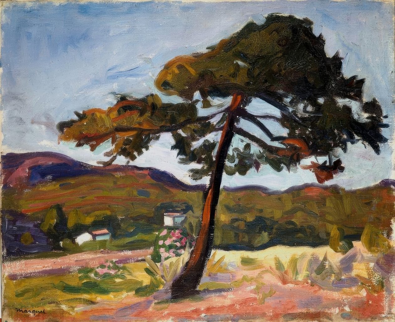 Furu i St. Tropez av Albert Marquet