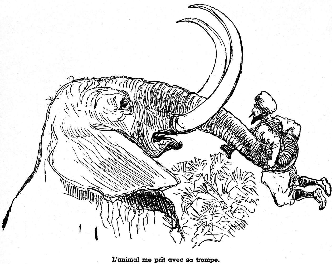 Sindbad sjømannen (Sinbad) - fortelling om de tusen og én (1001) netter - illustrasjon av en bok fra 1948 (Fortin-utgaven, samling Wonderful Imaging of Childhood) som forteller sine eventyr - illustrasjon av Albert Robida (1848 - 1926) - Syvende reise : A av Albert Robida
