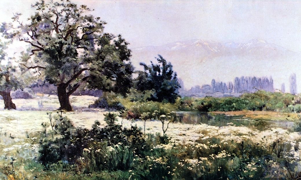 Kamille i blomst av Alberto Valenzuela Llanos