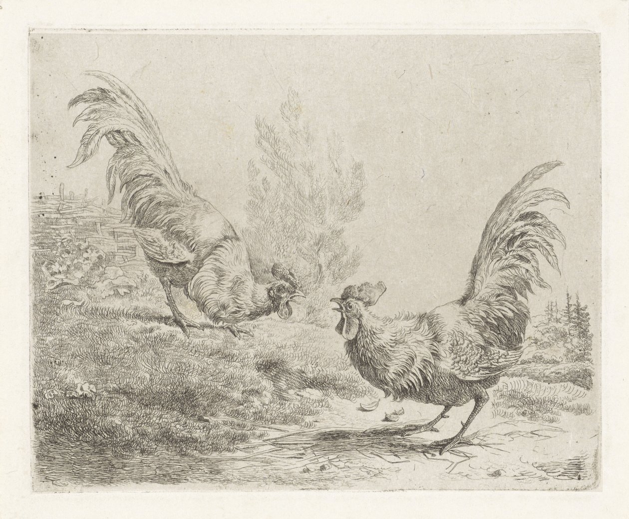 To kamphaner av Albertus Verhoesen