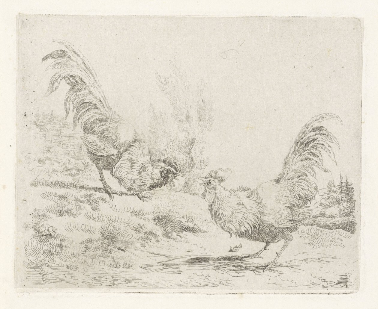 To kamphaner av Albertus Verhoesen