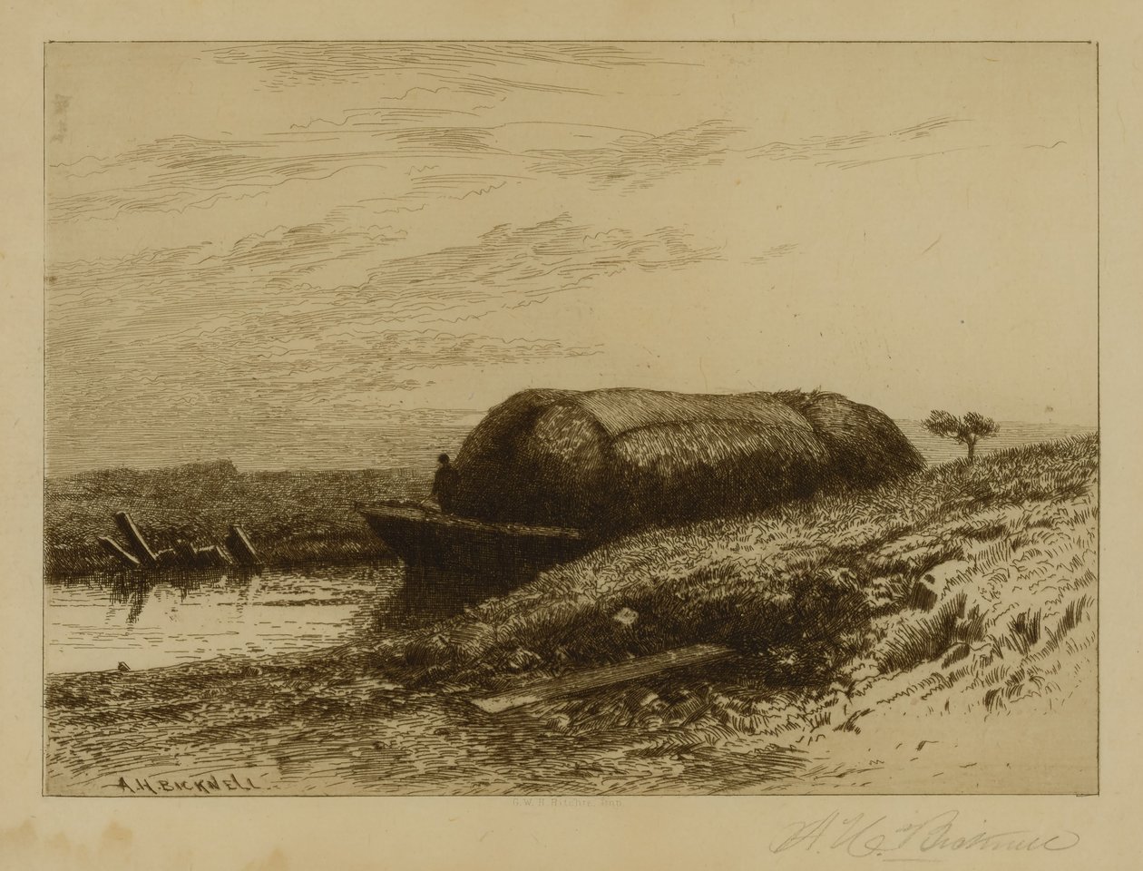  av Albion Harris Bicknell