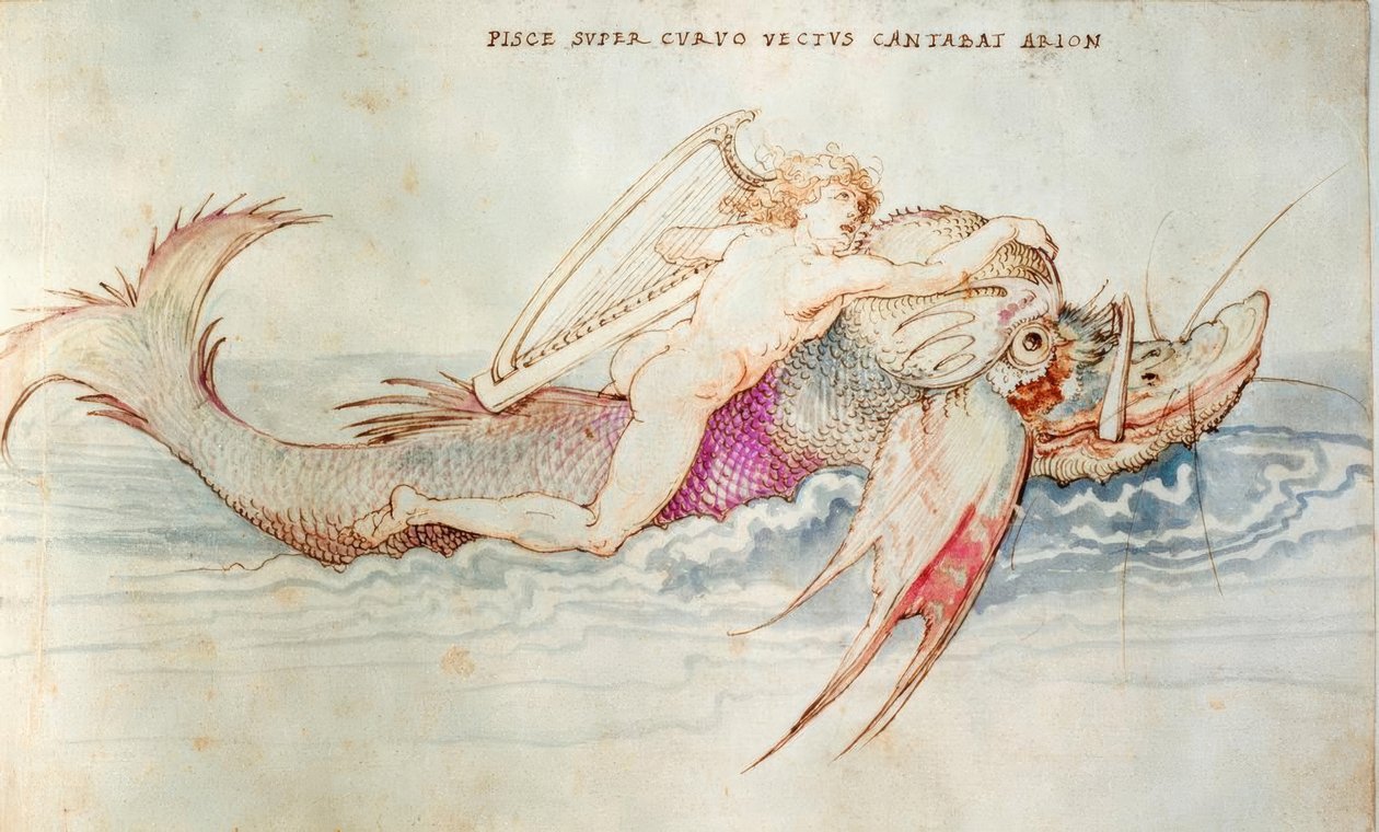Arion blir reddet av en delfin av Albrecht Dürer