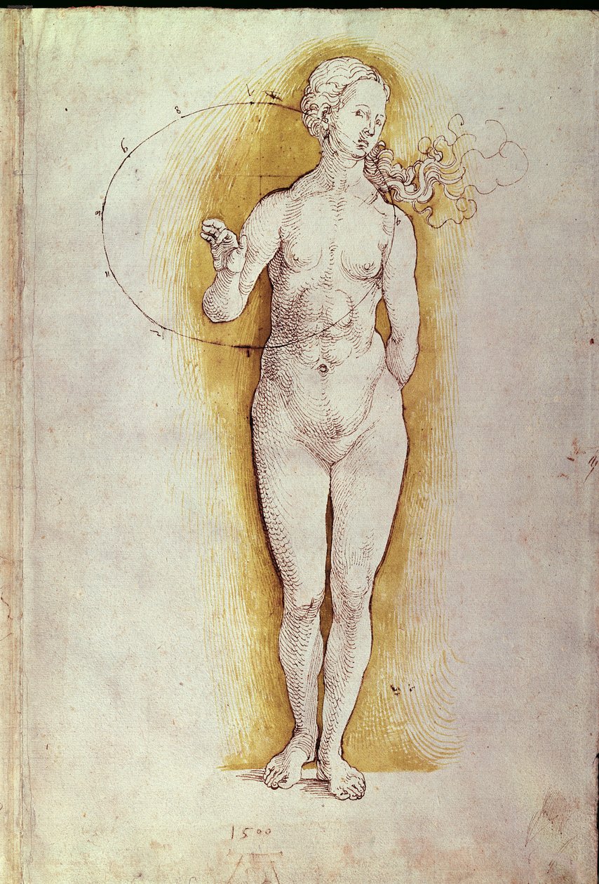 Naken kvinne (penn og blekk på papir) av Albrecht Dürer