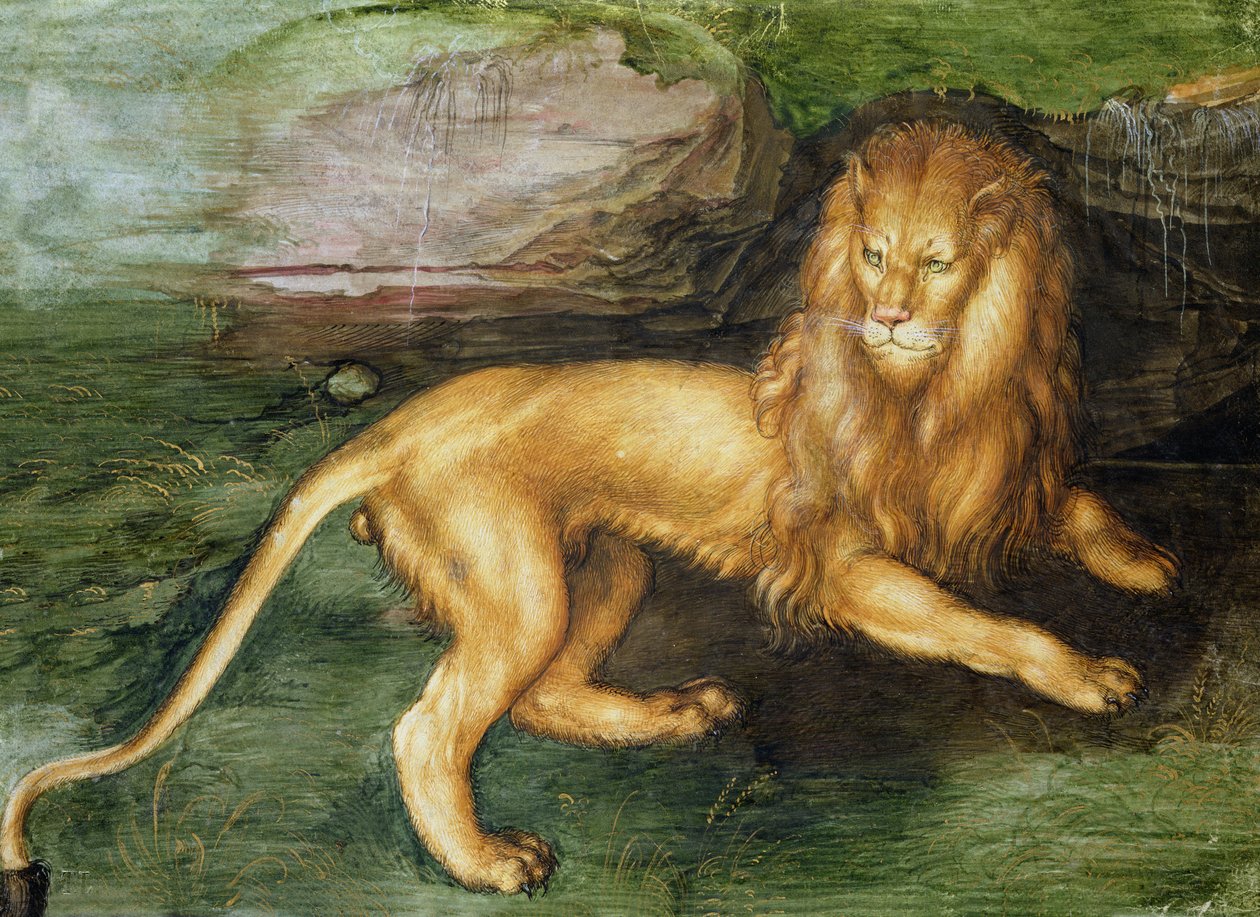 Løve av Albrecht Dürer