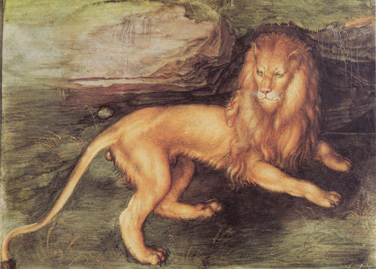 Løve av Albrecht Dürer