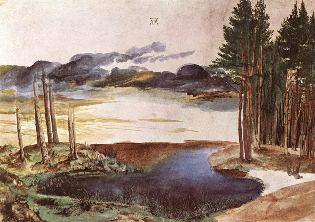 Dam i skogen av Albrecht Dürer