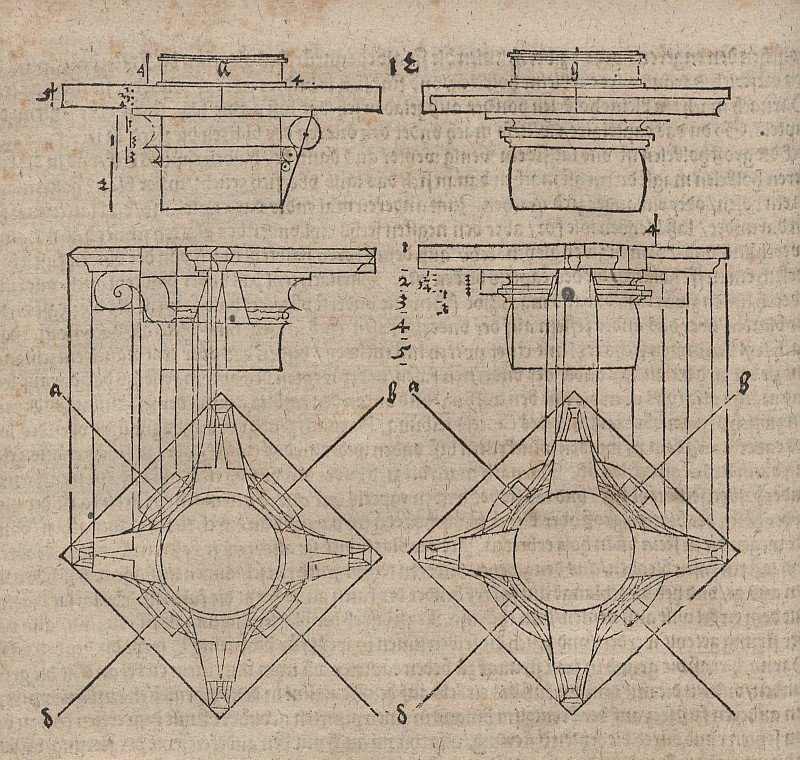 Kolonnehoveder i en svingete søyle av Albrecht Dürer