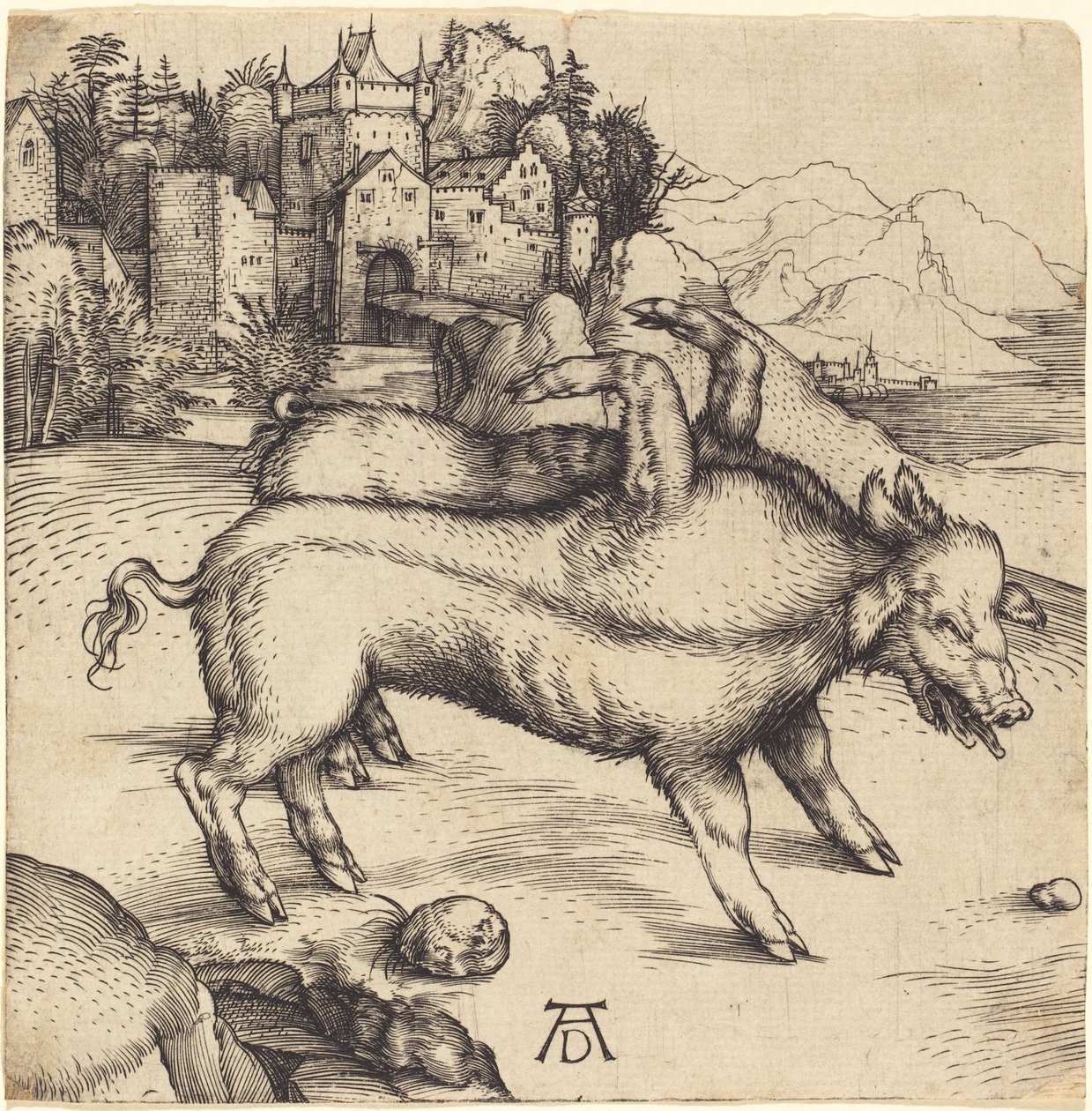 Den uhyggelige grisen til Landser av Albrecht Dürer