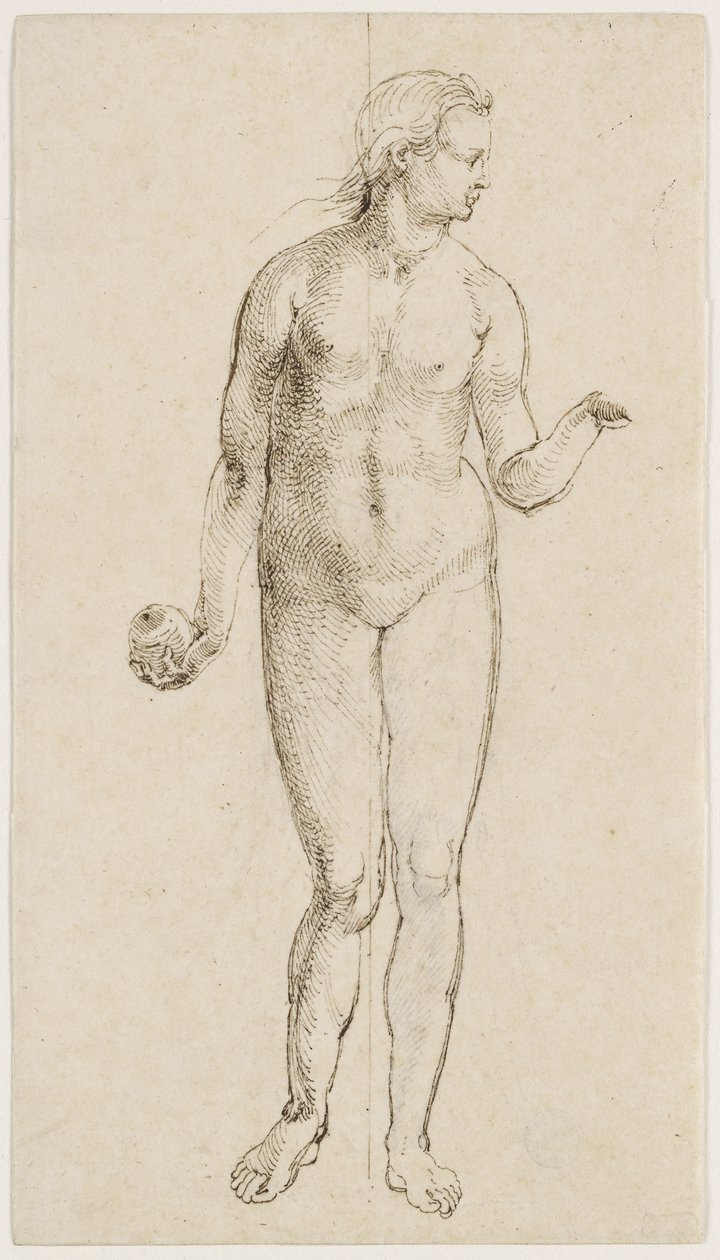 Eve (penn og indisk blekk på papir) av Albrecht Dürer