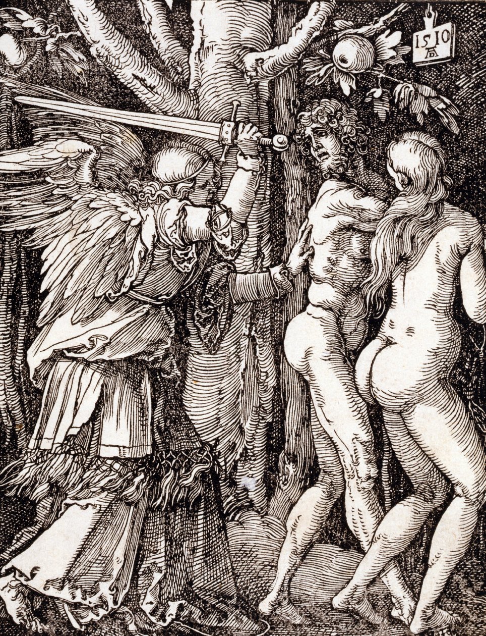 Liten lidenskap av Albrecht Dürer