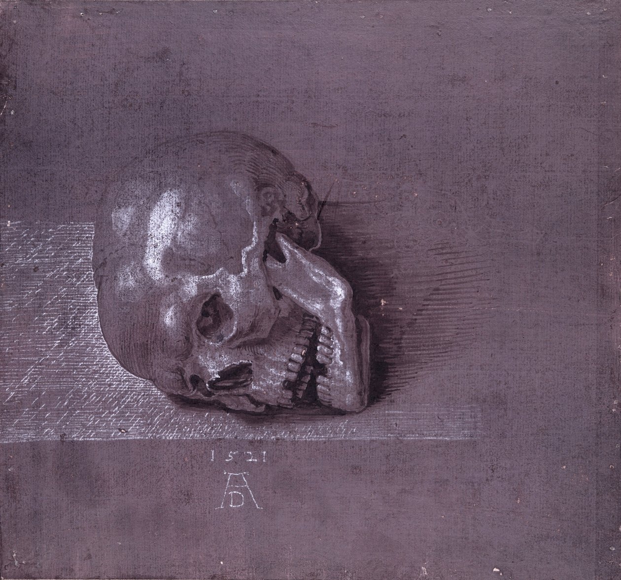 Studie av en menneskeskalle, 1521 (penn og blekk og kritt på papir) av Albrecht Dürer