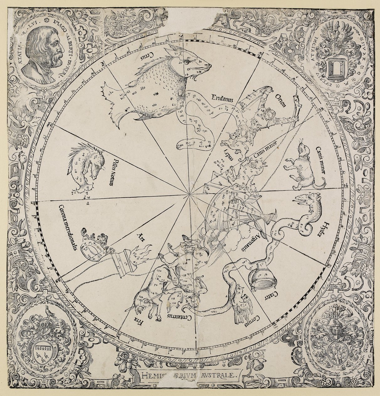 Himmelkartet på den sørlige halvkule av Albrecht Dürer