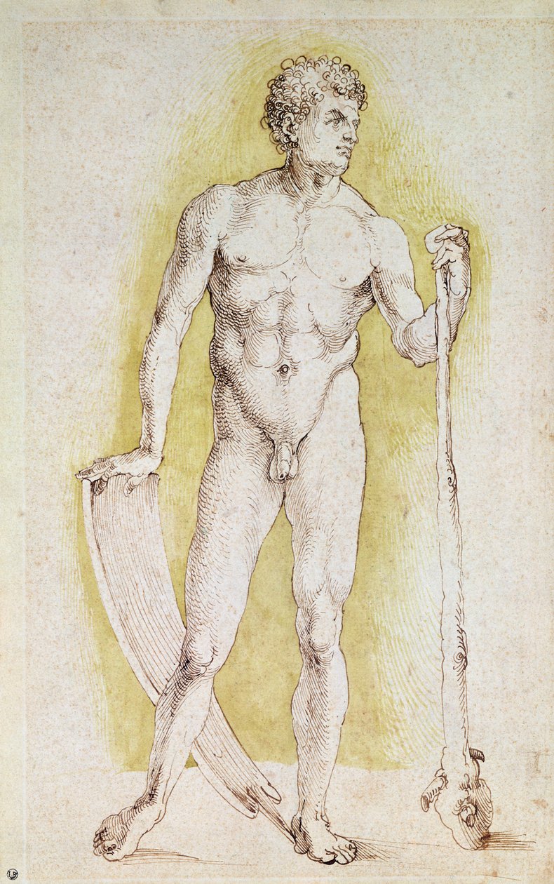 Ung naken mann av Albrecht Dürer